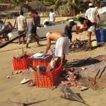 -San Augustinillo - Pescator